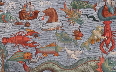 Monstra Marina: Nordic sea monsters of old (Essay in Latin)