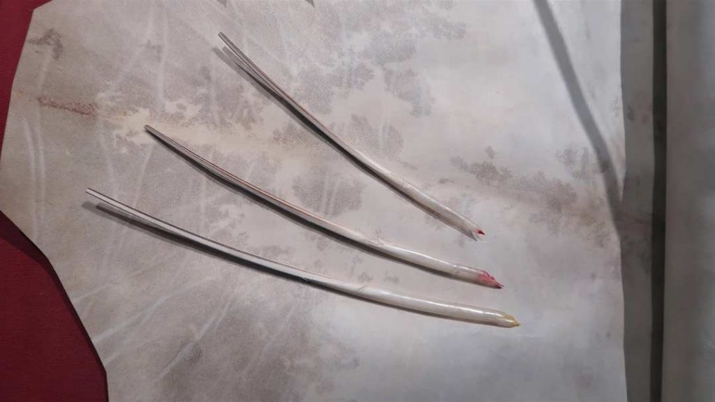 New, unused parchment and three feather pens (without feathers).