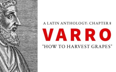 Chapter 8 – Varro: How To Harvest Grapes