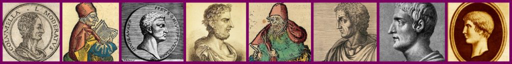 Roman authors from the 1st century A.D.