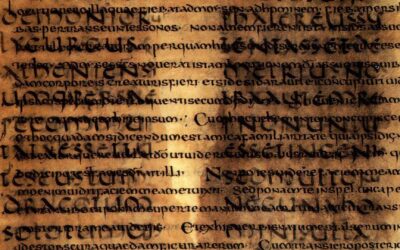 Rare and Ancient Latin words