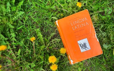 Is there a translation of Familia Romana?